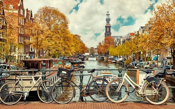 Binnenhuis architect amsterdam - interieurproject van Yalin Architects